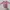 Bonds Jumper Pink  photo 1