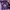 COACH BAG. Purple and Beige
Coach shoulder bag photo 9