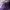 COACH BAG. Purple and Beige
Coach shoulder bag photo 8