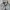 Nike Tech Fleece grey (1 set) photo 3