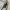 Nike Tech Fleece grey (1 set) photo 4