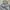 Nike Tech Fleece grey (1 set) photo 1