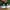 Adidas FALCON ELITE 5 original  photo 5