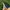 Adidas FALCON ELITE 5 original  photo 7
