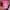 Moschino Luxury Lolita Wanita white pink photo 6
