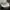 Adidas Ultra boost women shoes photo 1