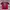 ac milan 2011-2012 “ibrahimovic” adidas jersey #JLJR111 photo 1