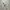 Minimalist Casual trouser Wanita white photo 2