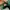 Adidas Samba Collegiate Green Cloud photo 6