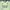arsenal 2021-2022 “pepe” adidas jersey photo 4