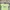 arsenal 2021-2022 “pepe” adidas jersey photo 2