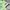 arsenal 2021-2022 “pepe” adidas jersey photo 5