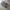 8 SECOND STRIPE photo 3