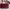 Longchamp photo 2