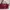 Longchamp photo 1