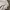 Carhartt Crewneck K 124 HGY