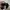 Topi Lebron James Original photo 2