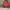 Tas Original Mark by Mark Jacobs Pink Red photo 1