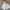 Rok Midi A-Line Tebal No Trawang