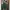 Long Dress Bunga photo 1
