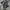Oakley Enhance Tech Tee Camo photo 3