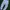 Nike swoosh joger panta photo 2