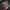 KANYE WEST VISION 2020 SIZE XL photo 4
