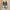 Asics Novablast 4 photo 3