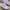 Asics Novablast 4 photo 2