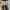 Nike airmax 95 Triple White photo 7