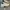 Nike airmax 95 Triple White photo 2