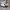 Nike Airmax Evo White Black photo 1