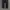 Jil sander chino pants navy photo 3