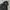 Andersson Bell Streetwear Hoody Pria black photo 4