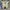 Nike Jordan Legacy 312 Low photo 4