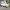 Nike Air Force 1 Low Triple White photo 1