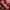 KEMEJA MERAH H&M BIG SIZE photo 3