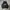Streetwear Hoody Pria black photo 1