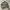 ATELIER SAB BOMBER LEATHER JACKET | CASUAL | OUTER| BIKER photo 1