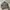 ATELIER SAB BOMBER LEATHER JACKET | CASUAL | OUTER| BIKER