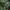 Minimalist Perawatan Rambut Pria green photo 5