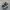 VANS AUTHENTIC BLUE  photo 1