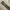Vintage Leather Belt  photo 5