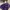 NEW! Melissa X Telfar Sandals Purple Size 39