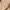 Shein Minimalist Short Wanita Tan