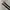 Vintage Leather buckel Belt  photo 8