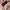 Chanel Luxury Casual Shoulder bag Wanita pink photo 2