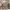 BOY London Casual Casual shirt Pria tan photo 6