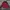 Adidas Y2K Sportswear Jersey Pria Red Black