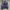 Sacai Y2K Grunge Bomber jacket Wanita white navy photo 6
